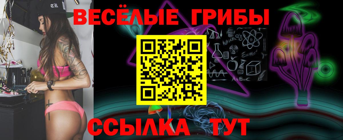 Псилоцибиновые грибы мухоморы  Вход с VPN  Бахчисарай 